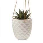 Thimble Hanging Planter - Image 2