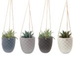 Thimble Hanging Planter