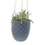 Thimble Hanging Planter - Image 4