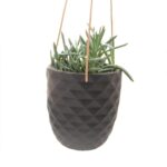Thimble Hanging Planter - Image 5