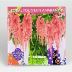Coral Fountain Amaranth Seeds