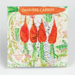 Danvers Carrot Seeds