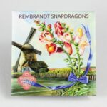Rembrandt Snapdragons Seeds