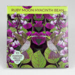 Ruby Moon Hyacinth Bean