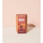 Terracotta Grow Kits