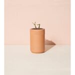 Terracotta Grow Kits - Image 7