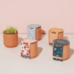 Tiny Terracotta Grow Kits - Image 2