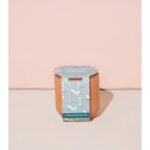 Tiny Terracotta Grow Kits