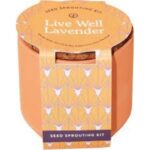 Tiny Terracotta Grow Kits - Image 6